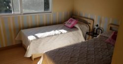 El Lauquen – Ruta 58 60