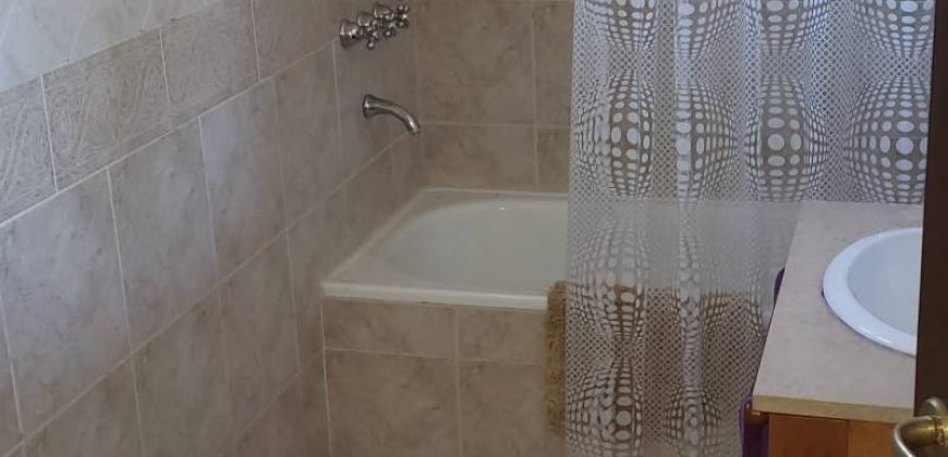 El Lauquen – Ruta 58 60