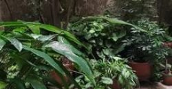 Rosario 402 1° A – Caballito – Capital Federal