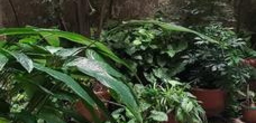 Rosario 402 1° A – Caballito – Capital Federal