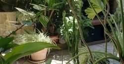 Casa en San José de Calasanz 587 – Caballito – Capital Federal