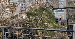 Riglos 470 3° A – Caballito – Capital Federal